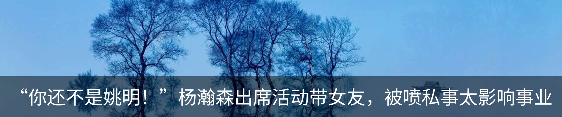 最新动态