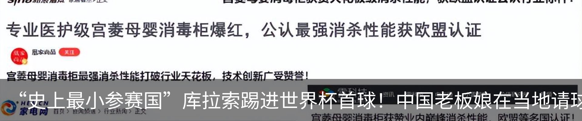 最新动态