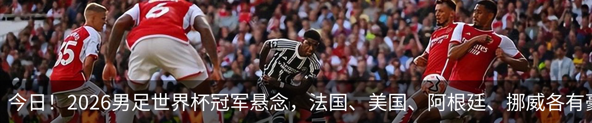 最新动态