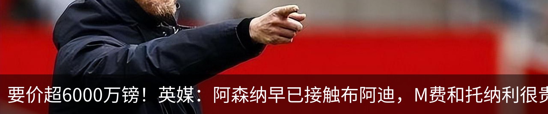 最新动态
