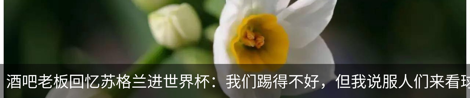 最新动态
