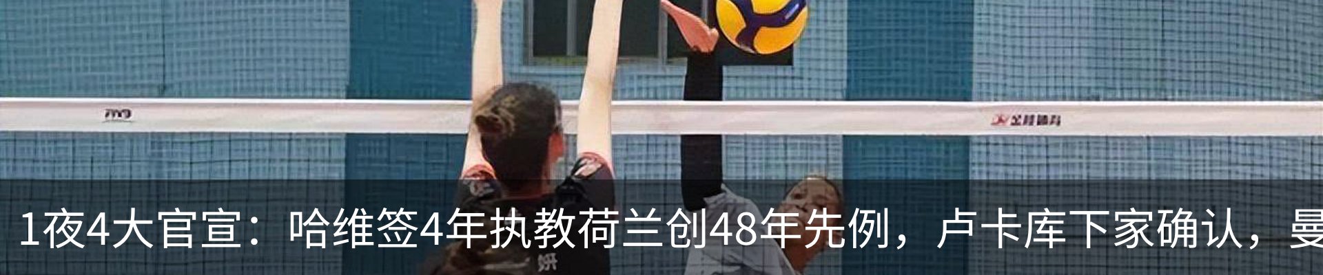 最新动态