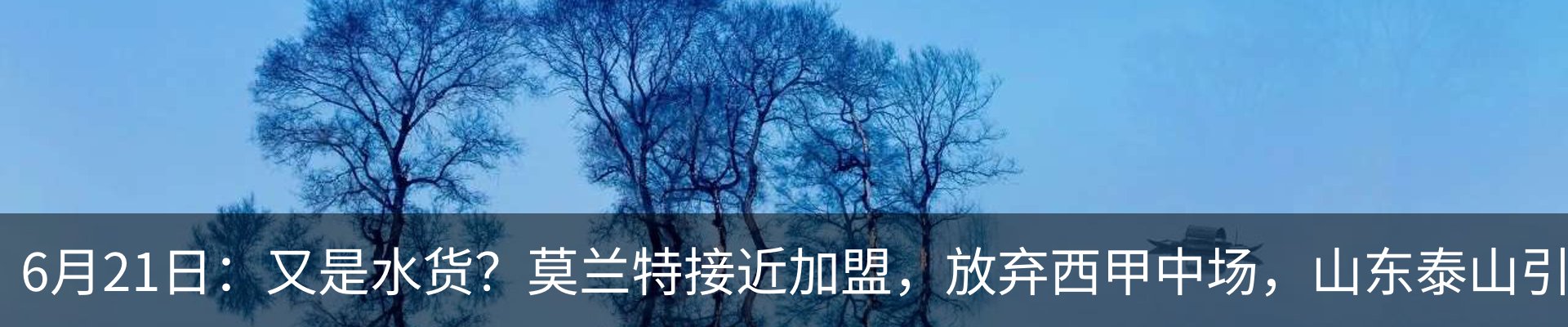 最新动态
