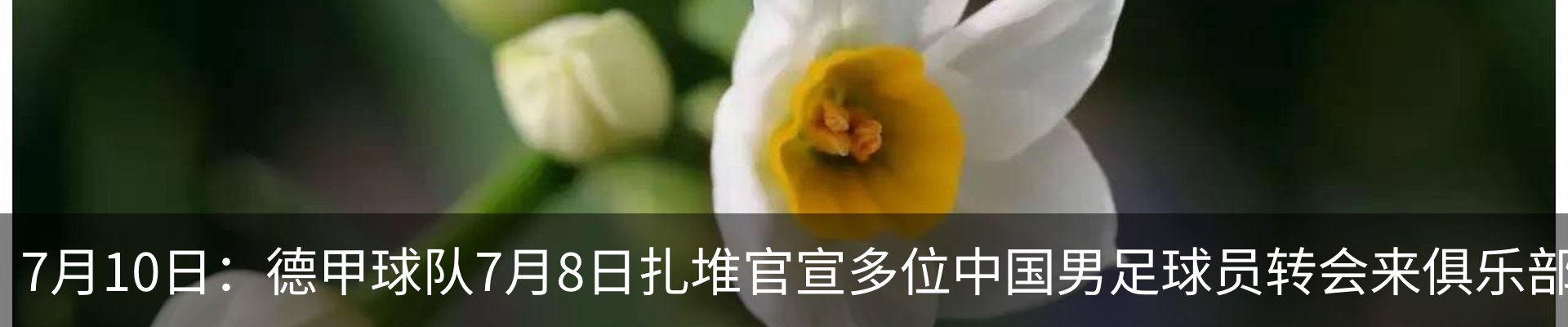 最新动态