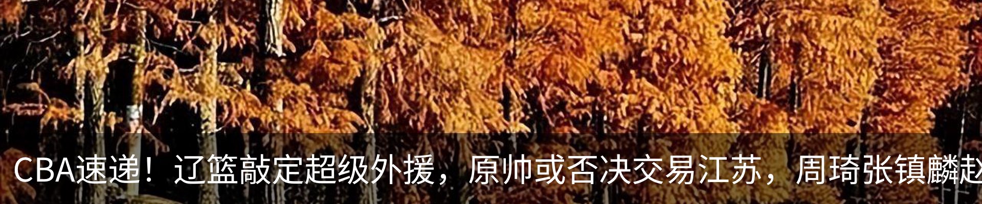 最新动态